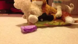 Webkinz Car Crash (On Purpose)!