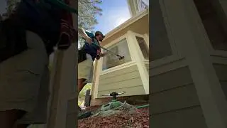 Still get to sling the squeegee every once in a while 😎#windowcleaning #oddlysatisfying #clean