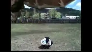 Настоящий  Дракон