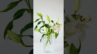 Фортепиано нежная музыка
