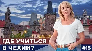 Как получить образование в Чехии? 🇨🇿