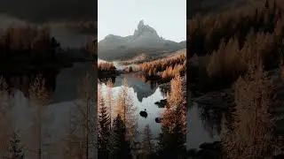 Нечто Прекрасное 2023 | #shorts