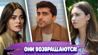 11 любимых турецких сериалов, которые совсем скоро вернутся на экраны.