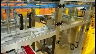Carcass Chicken Packaging