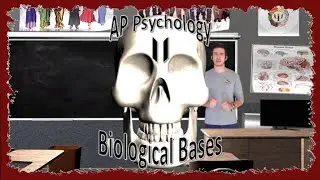 AP Psychology: Unit II Review - Biological Bases (Check Comments for Updated Video)