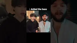 The Nights - BassSinger Tiktok duet - Avicii
