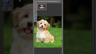 how to REMOVE TEXT on PHOTOS by use PHOTOSHOP 2022 & CS6...SUBSCRIBE pannunga friends..LIKE podunga.