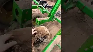 Tits or tires