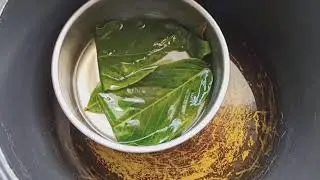 Percobaan Sachs (Fotosintesis menghasilkan amilum)