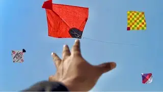 Kite Looting On Roof | Kite Catching | Caught Kite | Kite 🪁