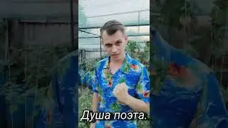 Глупа моя соседка, не иначе,  #душа_поэта #юмор #реки2023