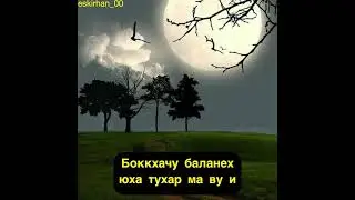 Боккхачу баланех юха тухар ма ву и Хьехам