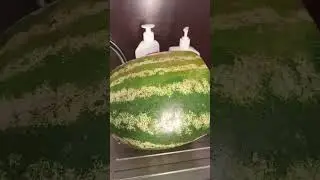 Арбуз арбуз привет