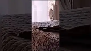 Look at this 😲😳