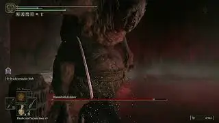 Diese BOSSE sind 0 PROBLEMO ! 5# / Elden Ring Shadow of the Erdtree