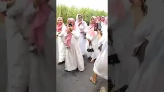 pawai #song #baby