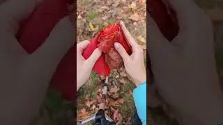 Осенняя поделка в садик или школу🍁 