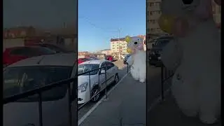 Милое поздравление с днем рождения #аэромедведь #поздравление #белыймишка #мишка