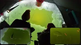 Christmas Ice Fishing LOADED Neighborhood pond with Underwater Camera (GIANT FISH)
