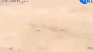 Приколы для души. Мгновенная карма