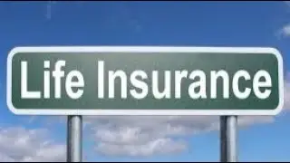 Whole Life Insurance is a Scam, Especially for Bachelors