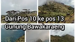 Vegetatif yang memanjakan mata dari pos 10 ke pos 13 Gunung Bawakaraeng
