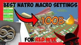 Best settings for Natro Macro (Red Hive)