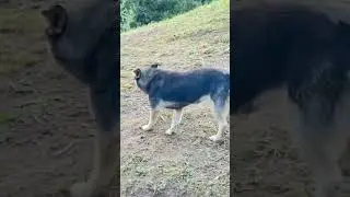 #Алматы #горы