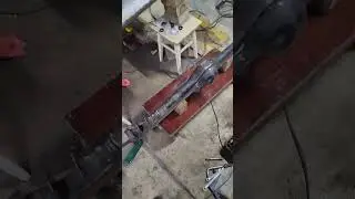 Нива снова оживает