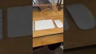 Which Mouse is Better for Mac - the Apple Magic Trackpad or the Apple Magic Mouse?