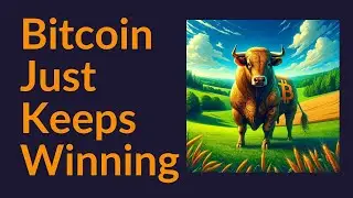 Bitcoin Just Keeps Winning