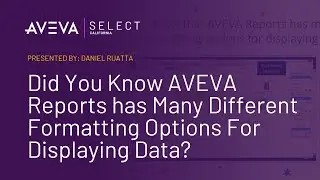 Did You Know AVEVA Reports has Many Different Formatting Options For Displaying Data?​