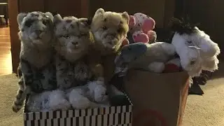 All of my webkinz 2019 (32 Webkinz) (getting more after I sell some) | read desc for names