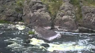 P1040991