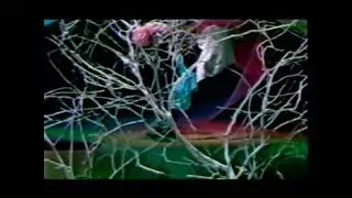 جورج وسوف- شفتو ازاي