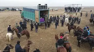Шардара ауылында Алдашовтар әулеті Нәрікбайұлы Ұзақбай ағамыздың елден Бата алу көкпар тойы 2022