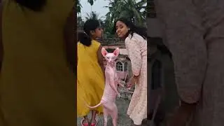 new song mantu funny video with cute cat 🐯😱😘🤪