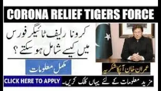How to apply prime minister tiger force