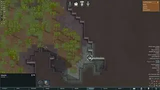 Playing RimWorld just for fun