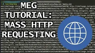 Mass HTTP requested with Meg: Recon Tool Tutorial