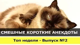 Смешные короткие анекдоты. Топ недели - Выпуск 2