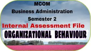 Organizational Behaviour MCOM I.A.F. S-2
