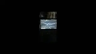 DOGECOIN UP