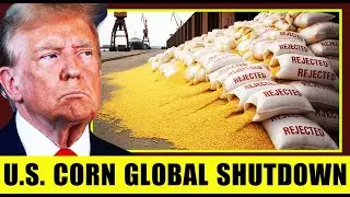 Corn CRISIS 10 U.S. States Facing Bankruptcy After Global Ban