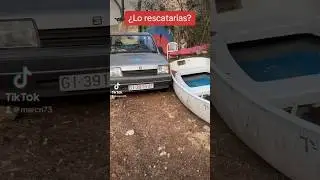 ✅ ¿Lo rescatarias? #seatmarbella #seat #seatmarbellaraid #seatmarbellaspecial #seatpanda
