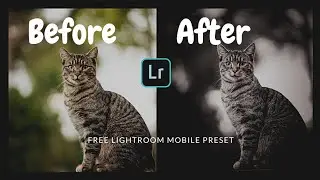 Matte black lightroom free preset| free lightroom mobile presets