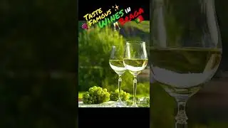 Taste Vinho Verde – Green wine in Braga - Portugal 