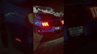 Shelby GT350R Exhaust Sound | Startup & Revs 