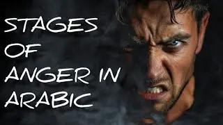 Degrees of anger in Arabic language! 😡