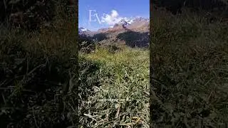 Я выбираю ЖИТЬ